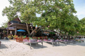 Greenplace-Samed Seahorse